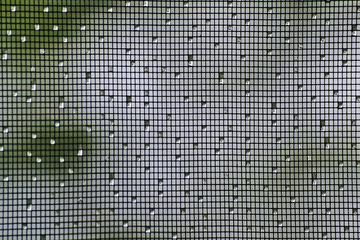 Insektenschutz von M+P Bauelemente